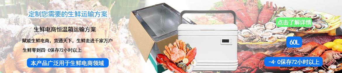 11L超低溫-55℃干冰型冷凍保溫箱可反復使用無需用電制冷穩定控溫深冷冰凍-55~-20℃